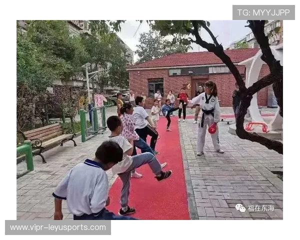 跆拳道学院完善青少年等级考试的评审与公示流程，青少年跆拳道协会