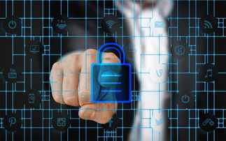 乐鱼体育app官网入口-科学管理体系研究，科学管理体制